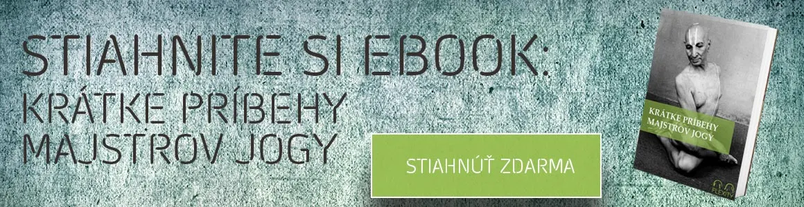 ebook-majstri-jogy-instruktori-flexity